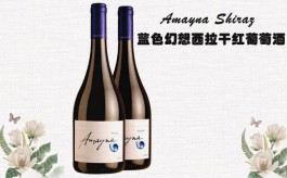 智利藍(lán)色幻想西拉干紅葡萄酒佛山市法米麗貿(mào)易有限公司