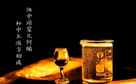 五糧液珍品玉露價格 五糧液珍品玉露價格多少