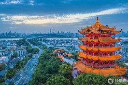 2023武漢捐贈卵細胞試管醫院排名更新發布(附各院捐贈卵細胞試管成功率明細)