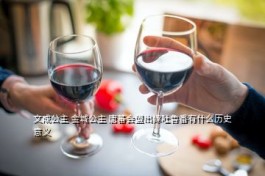 公主愿景 文成公主 金城公主 唐蕃會盟出嫁吐魯番有什么歷史意義
