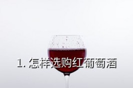 如何選購紅酒干紅葡萄酒(怎樣選購紅葡萄酒)