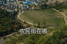 韶關市曲江區(qū)青溪源酒廠 農民街在哪
