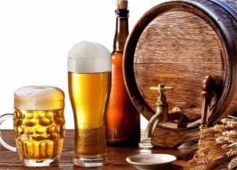 簡單介紹一下金威啤酒集團(tuán)有限公司