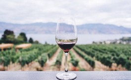 喝白葡萄酒有什么好處和壞處「葡萄酒白酒哪個更有利于健康」