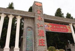 云南紅酒品牌有哪些(云南紅酒什么牌子好)