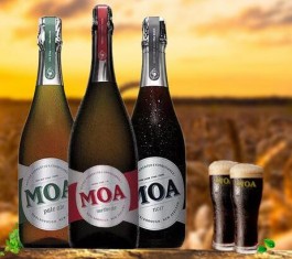 MOA是什么啤酒(MOA啤酒怎么樣)