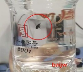 西鳳酒回應未開封白酒出現蒼蠅：需進行真偽鑒定