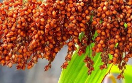 喝了這么多年酒，白酒的“五度品格”你知道嗎