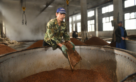 為什么醬酒酒廠要在凌晨開始釀酒？