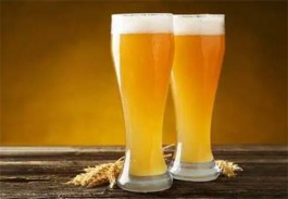 為什么啤酒瓶不用塑料瓶_為什么啤酒和白酒都不用塑料瓶裝