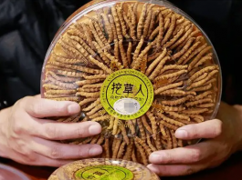 成都青羊茅臺酒冬蟲夏草現在回收價可上門