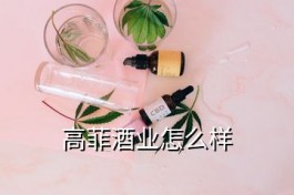 高菲酒業(高菲酒業怎么樣)