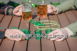 貴州茅臺招聘網(wǎng)站 貴州茅臺招聘2020年怎么提交失敗