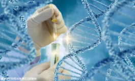  試管嬰兒檢查免疫檢查什么(試管檢查免疫是查哪項)
